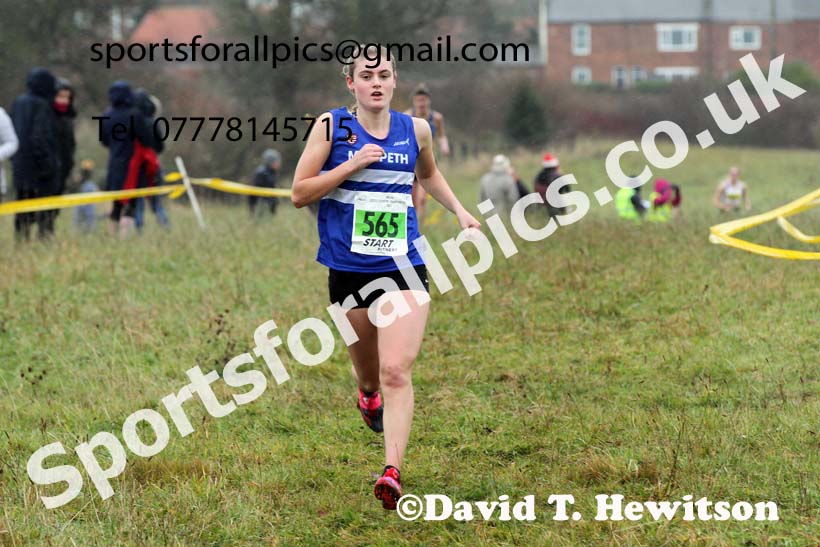 Womens under-17s and under-20s, 2021 North Eastern Cross Country Championships, Sedgefield. Photo: David T. Hewitson/Sports for All Pics
